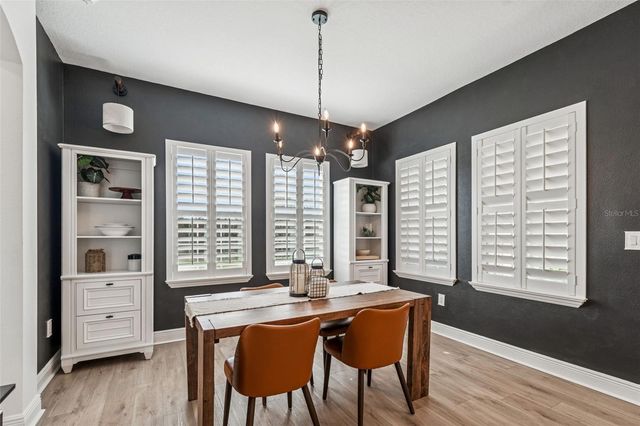 17738 EVERLONG DRIVE, Land O Lakes, FL 34638