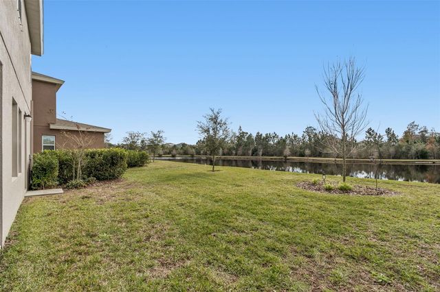 17738 EVERLONG DRIVE, Land O Lakes, FL 34638