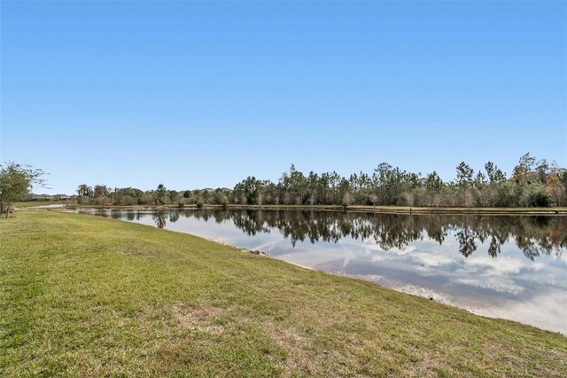17738 EVERLONG DRIVE, Land O Lakes, FL 34638