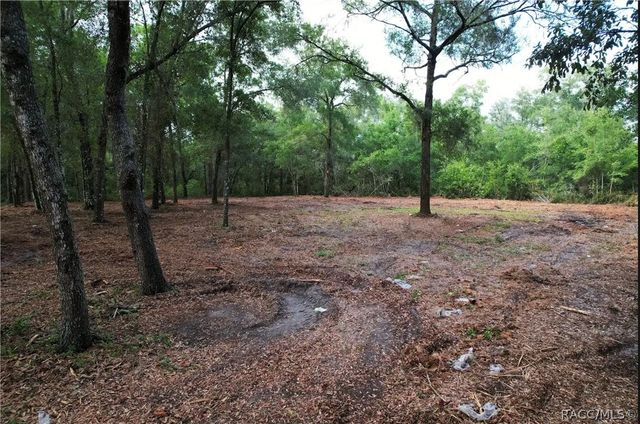 6777 N Castlebury Road, Hernando, FL 34442