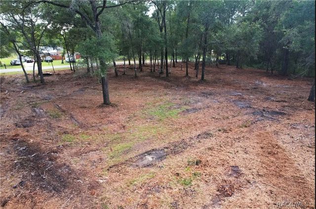 6777 N Castlebury Road, Hernando, FL 34442