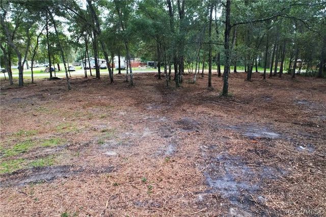 6777 N Castlebury Road, Hernando, FL 34442