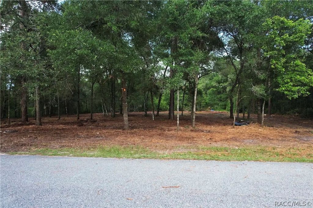 6777 N Castlebury Road, Hernando, FL 34442