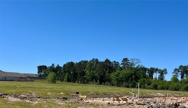 40745 Mostyn Lake Drive, Magnolia, TX 77354