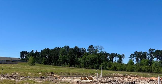 40745 Mostyn Lake Drive, Magnolia, TX 77354