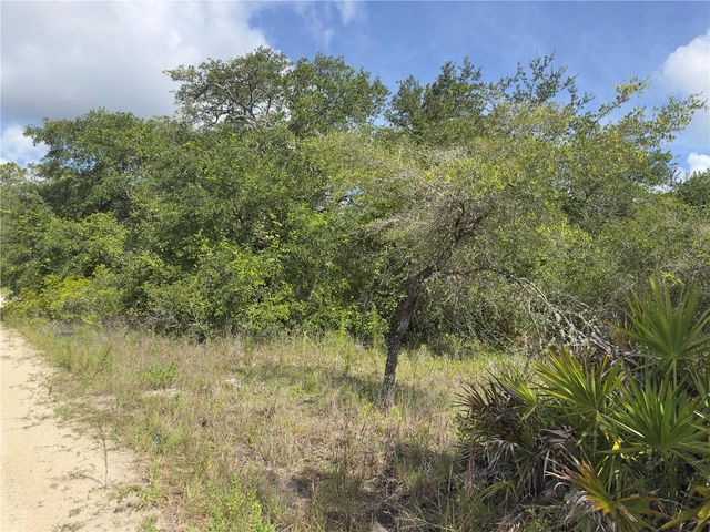 8389 SW 155TH STREET, Dunnellon, FL 34432