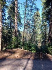 687 Spring, Cedarpines Park, CA 92322