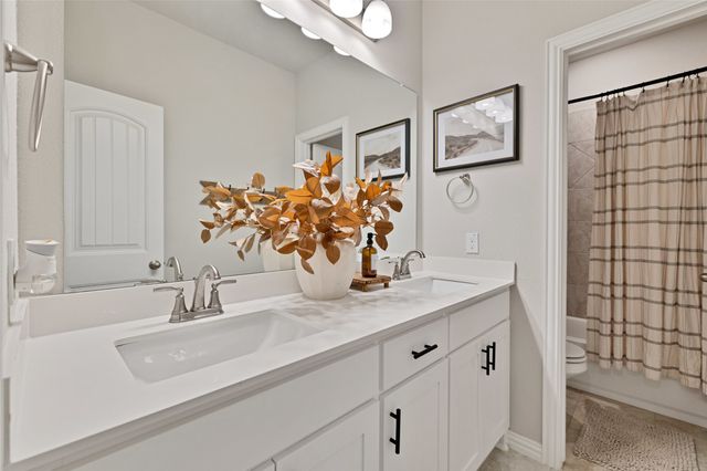 165 Misty Mountain Lane, Rhome, TX 76078