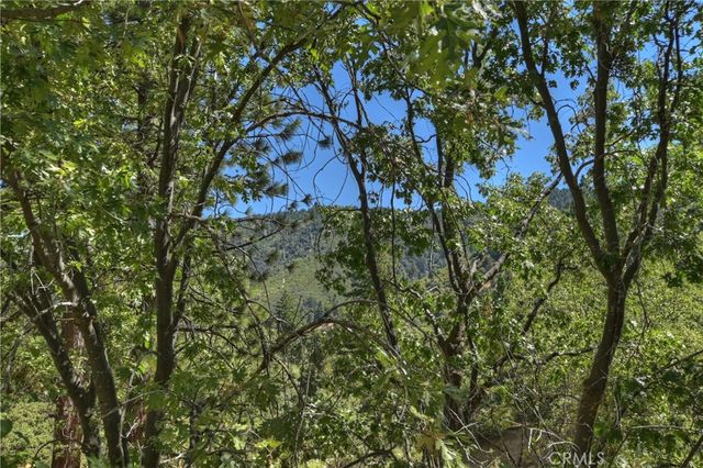 30184 Skyline Drive, Running Springs, CA 92382