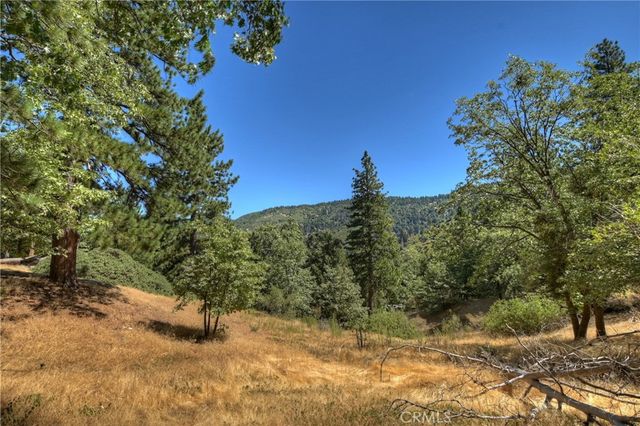 30184 Skyline Drive, Running Springs, CA 92382
