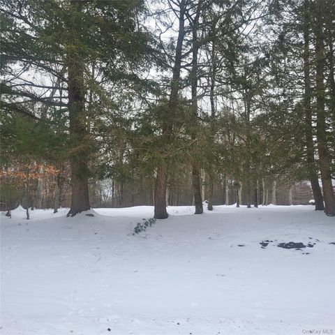 000 Roslyn Ridge Road, Mongaup Valley, NY 12720