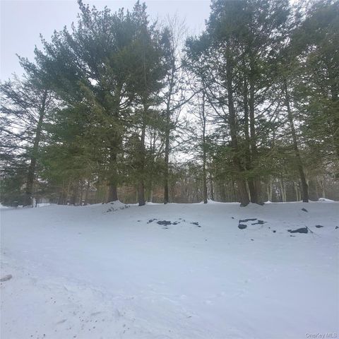 000 Roslyn Ridge Road, Mongaup Valley, NY 12720