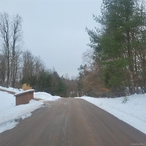 000 Roslyn Ridge Road, Mongaup Valley, NY 12720