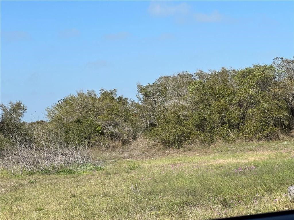 00 N Saunders, Aransas Pass, TX 78336 — photo 3