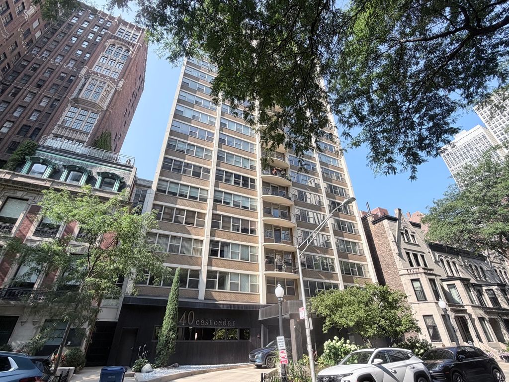 40 E Cedar Street 11C, Chicago, IL 60611 — exterior