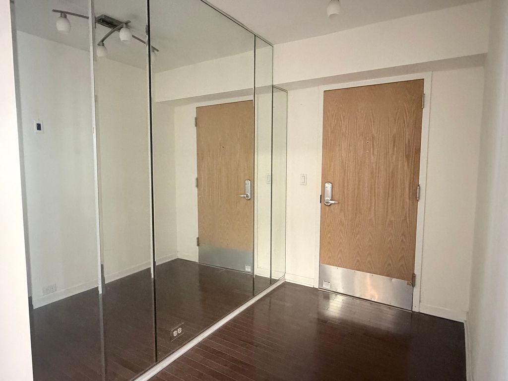 40 E Cedar Street 11C, Chicago, IL 60611 — photo 3
