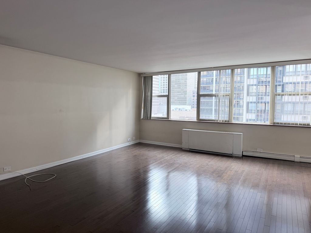 40 E Cedar Street 11C, Chicago, IL 60611 — photo 4