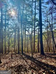 335 Packet Court, Ranger, GA 30734