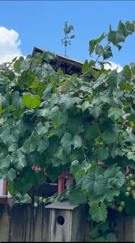 1007 Nichols St, Deridder, LA 70634