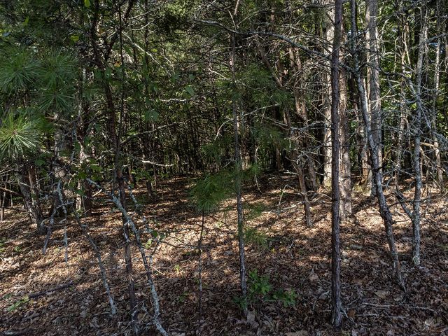 43 Hidden Fields Road, Hiawassee, GA 30546