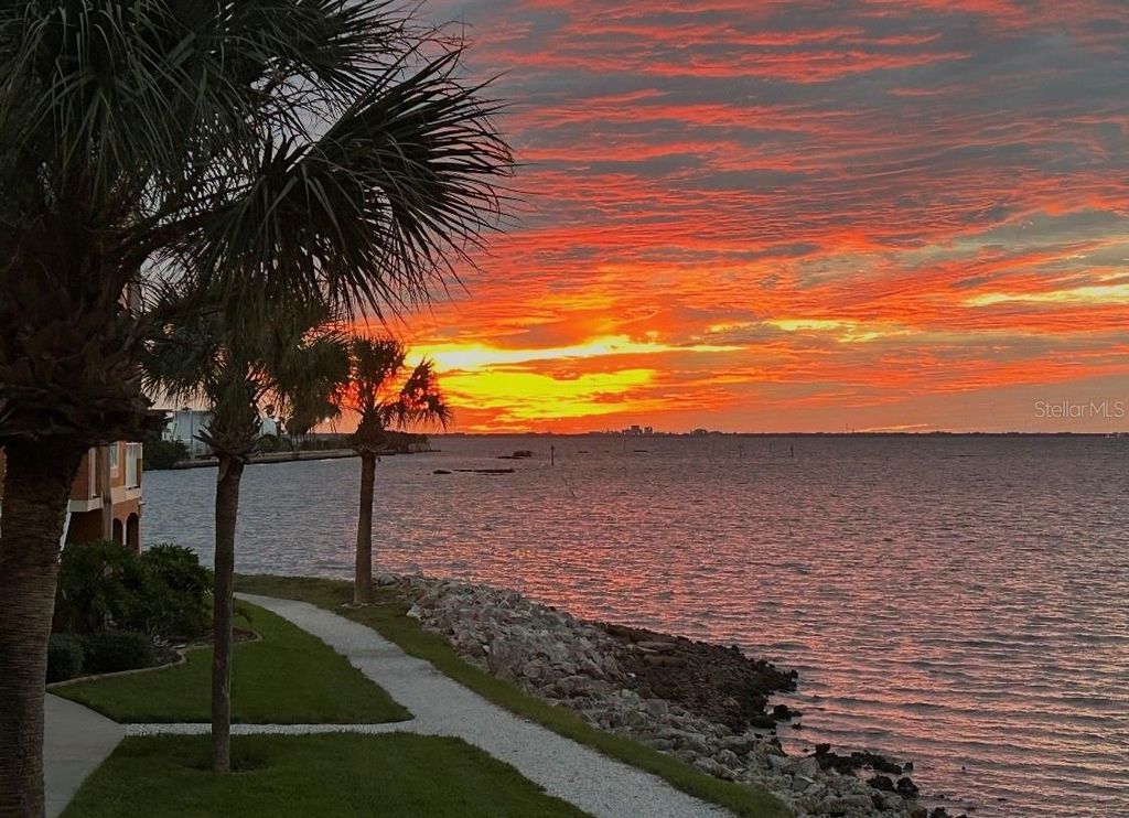 5000 CULBREATH KEY WAY 9-112, Tampa, FL 33611