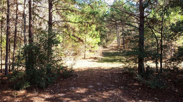 8584 Grand Lake Estates Drive, Montgomery, TX 77316