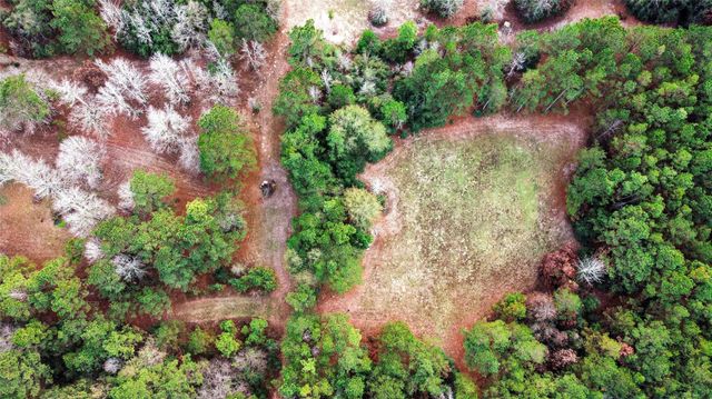 8584 Grand Lake Estates Drive, Montgomery, TX 77316