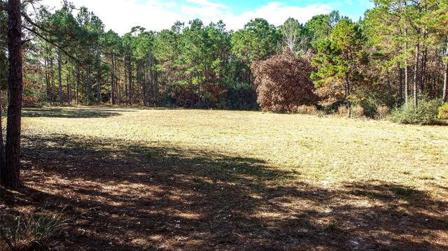 8584 Grand Lake Estates Drive, Montgomery, TX 77316