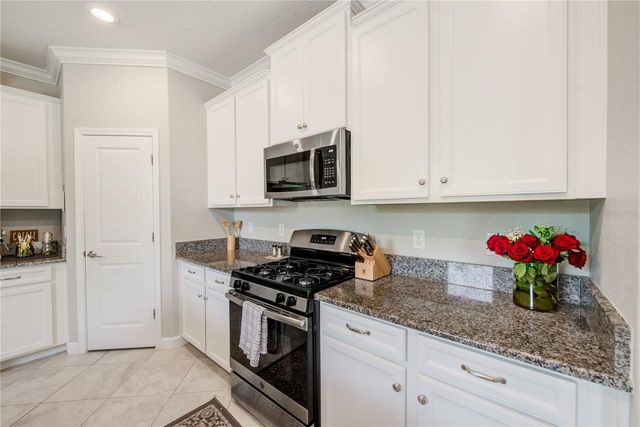 4976 BALLANTRAE BOULEVARD, Land O Lakes, FL 34638
