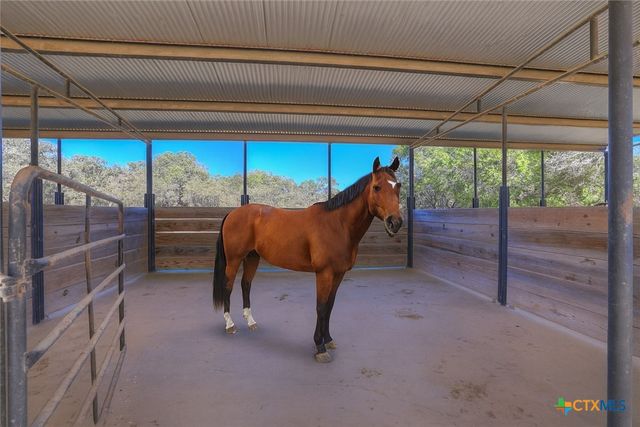 1080 Forest Trail, New Braunfels, TX 78132