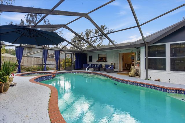 18709 LAKE COMMISTON DRIVE, Lutz, FL 33549