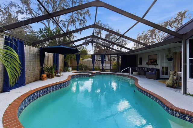 18709 LAKE COMMISTON DRIVE, Lutz, FL 33549