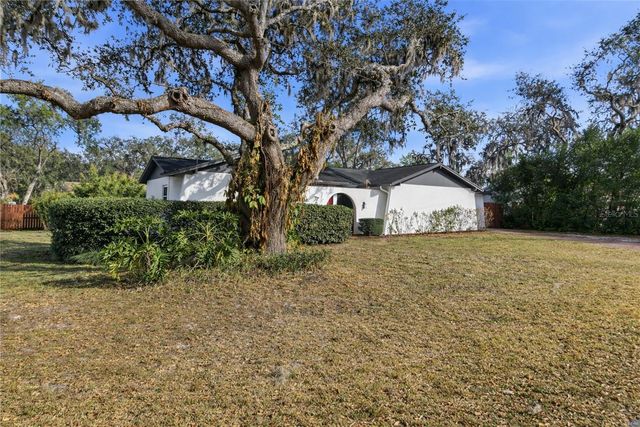 18709 LAKE COMMISTON DRIVE, Lutz, FL 33549