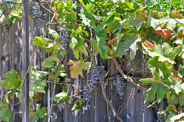 2661 Imperial Way, Yuba City, CA 95993