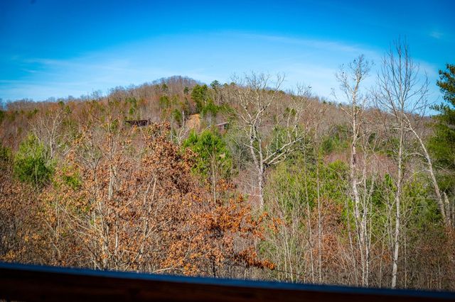 242 Whisperwood Trail, Mineral Bluff, GA 30559