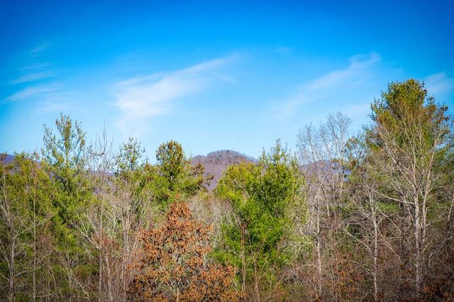 242 Whisperwood Trail, Mineral Bluff, GA 30559