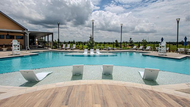 22014 Golden Azalea Drive, Hockley, TX 77447