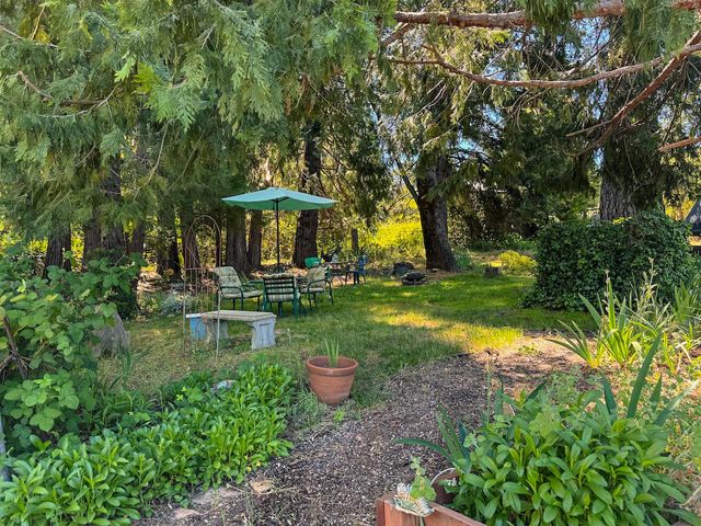 48 Pine St, West Point, CA 95255