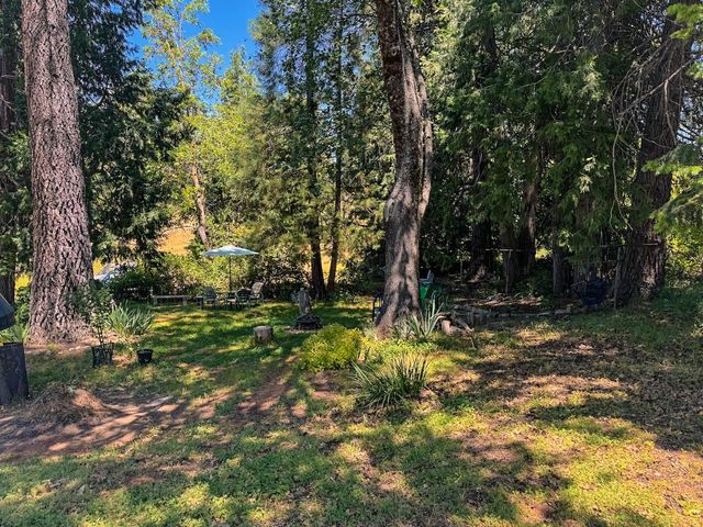 48 Pine St, West Point, CA 95255