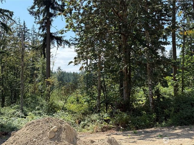 15114 295th Street E, Kapowsin, WA 98338