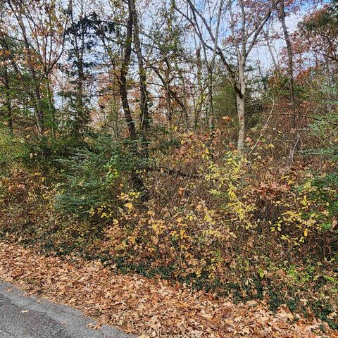 L-17, B-2 W Lakeshore Drive, Cherokee Village, AR 72529
