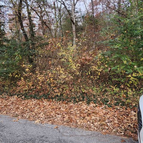 L-17, B-2 W Lakeshore Drive, Cherokee Village, AR 72529