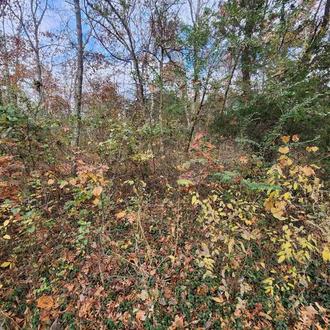 L-17, B-2 W Lakeshore Drive, Cherokee Village, AR 72529