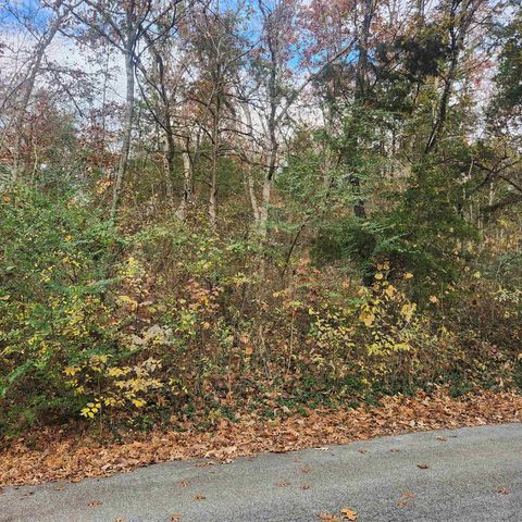 L-17, B-2 W Lakeshore Drive, Cherokee Village, AR 72529