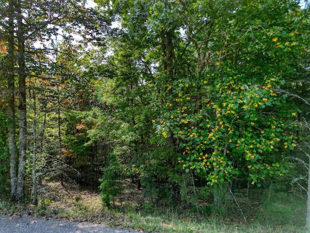 Tract 2 Barnes Creek Road, Blairsville, GA 30512
