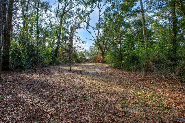 103 NE SUWANNEE RIVER DRIVE, Mayo, FL 32066