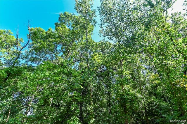 000 Holdridge Rd, Holly, MI 48462