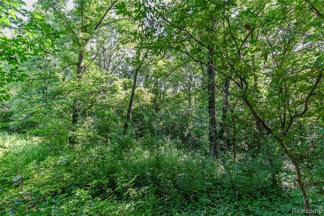 000 Holdridge Rd, Holly, MI 48462