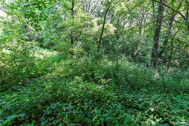 000 Holdridge Rd, Holly, MI 48462