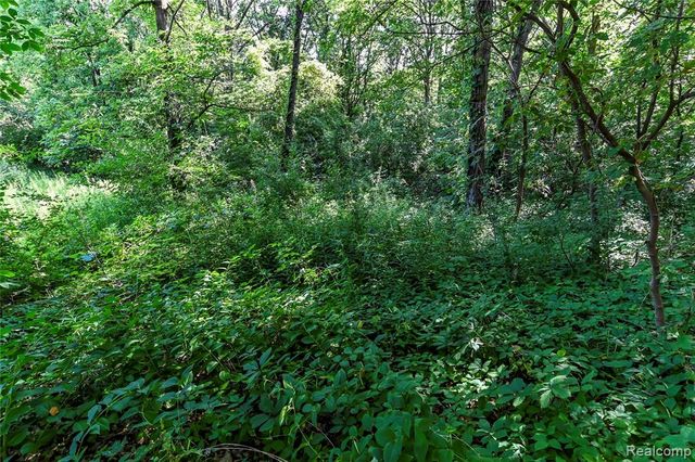 000 Holdridge Rd, Holly, MI 48462